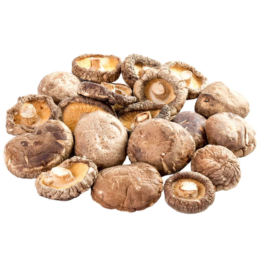 Shiitake