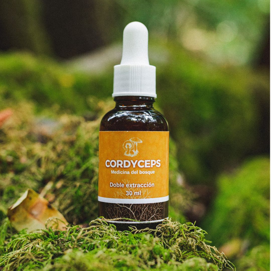 Extracto hongo Cordyceps 30 ml