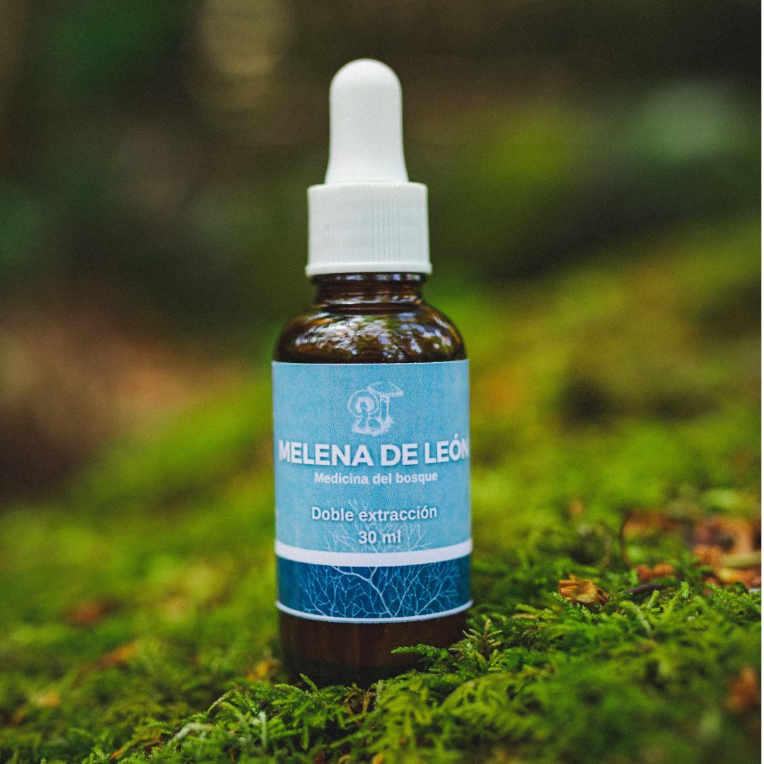 Extracto hongo Melena de león 30 ml