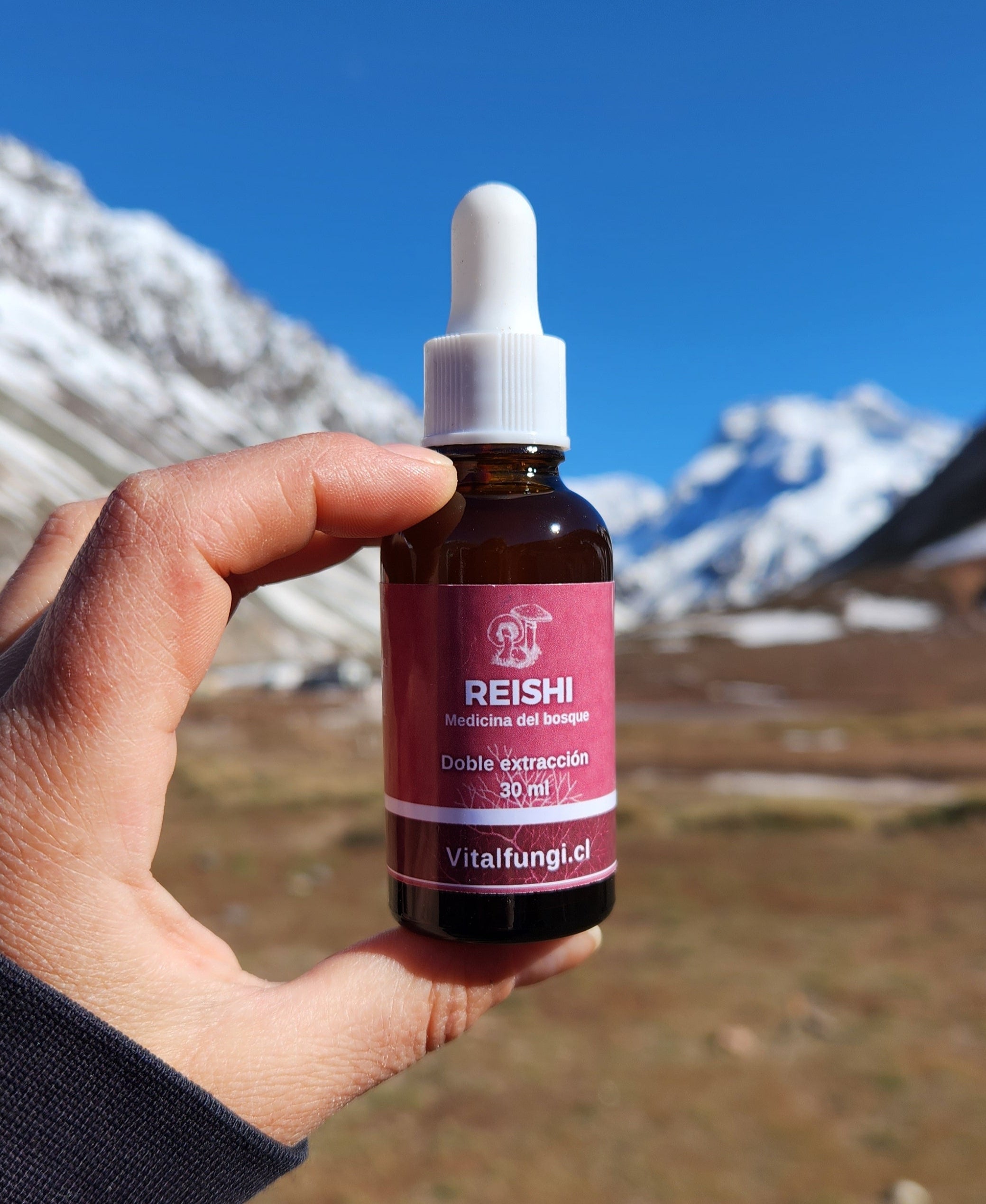 Extracto hongo Reishi 30 ml
