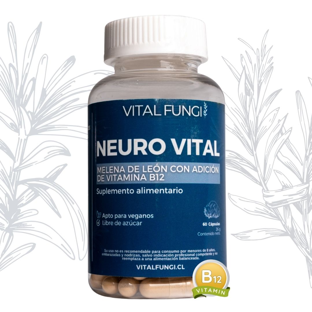 NEUROVITAL Cápsulas Melena de león y Vitamina B12