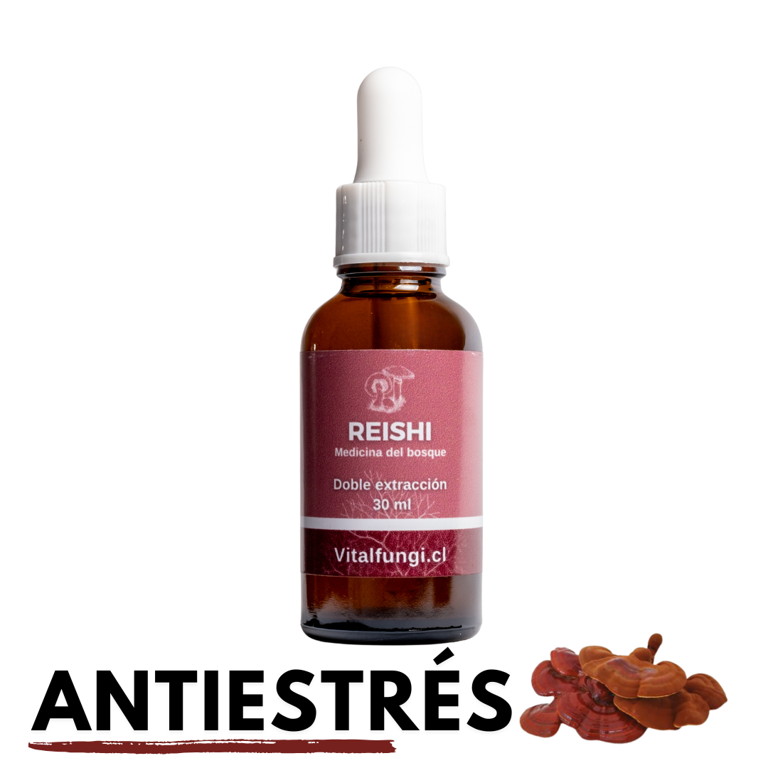 Extracto hongo Reishi 30 ml