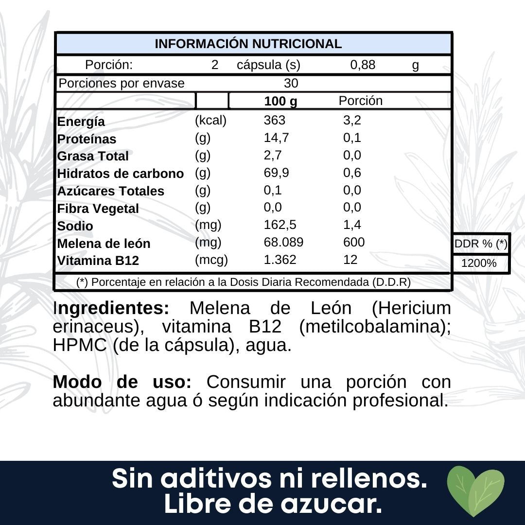 NEUROVITAL Cápsulas Melena de león y Vitamina B12