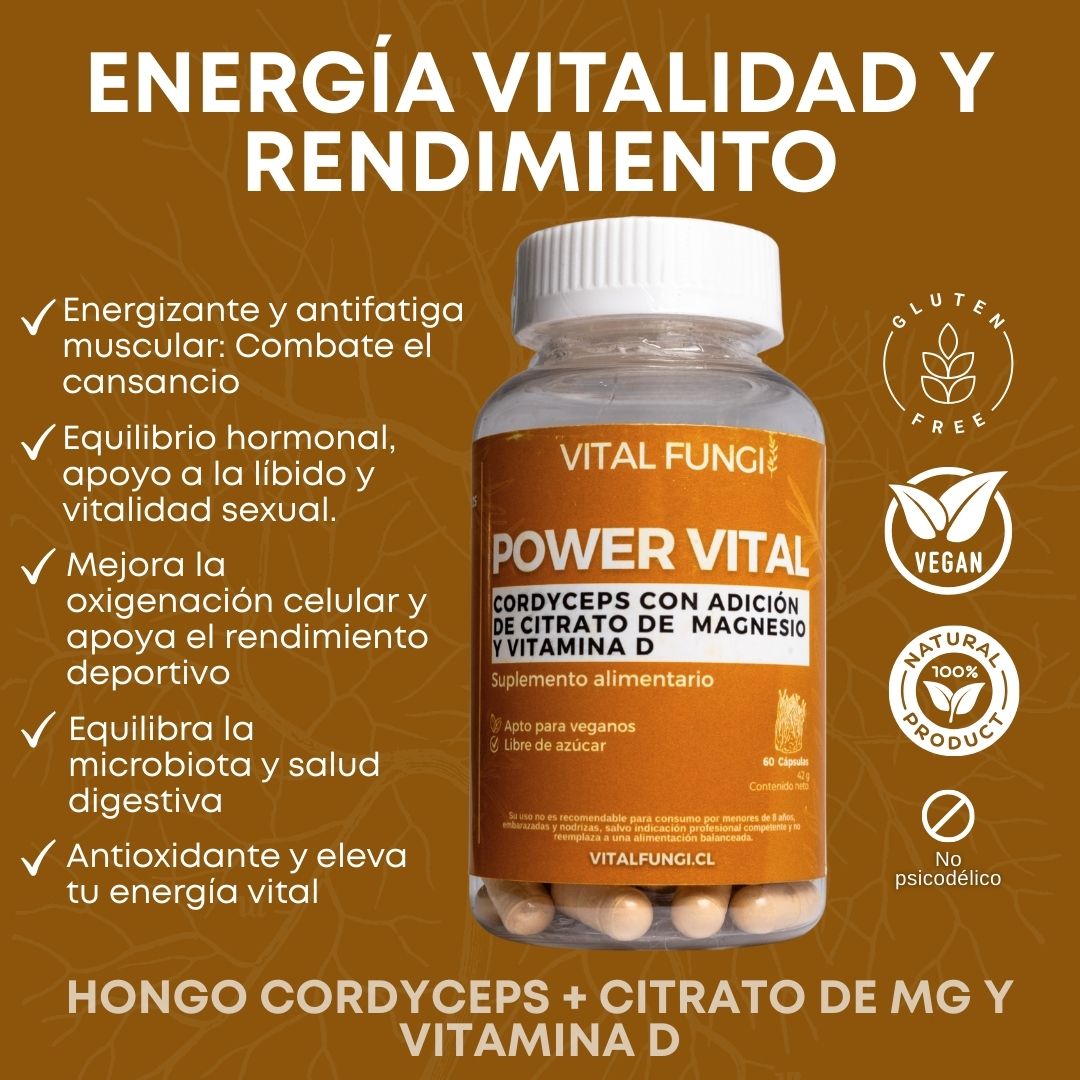 POWERVITAL Cápsulas Cordyceps, Citrato de magnesio y Vitamina D