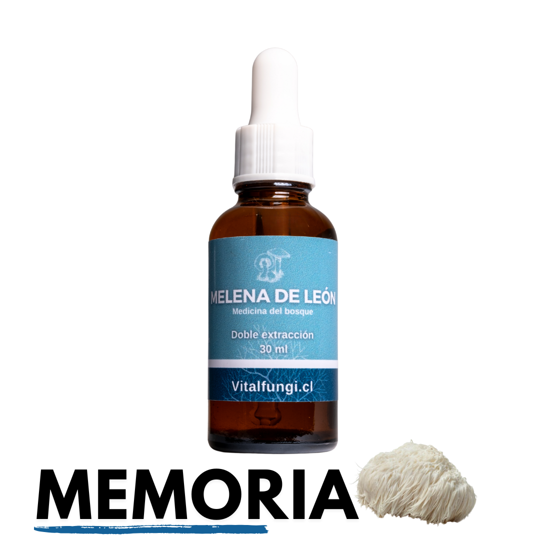 Extracto hongo Melena de león 30 ml