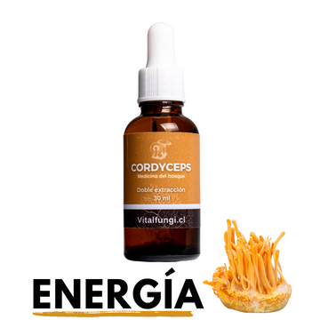 Extracto hongo Cordyceps 30 ml