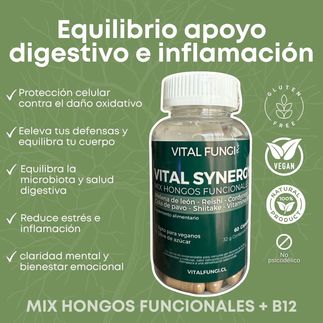 VITAL SYNERGY Cápsulas Mix Hongos Funcionales + VIT B12