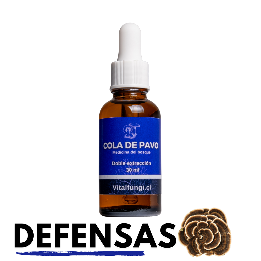 Extracto hongo Cola de pavo 30 ml