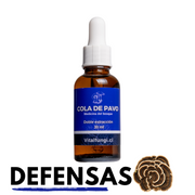 Extracto hongo Cola de pavo 30 ml