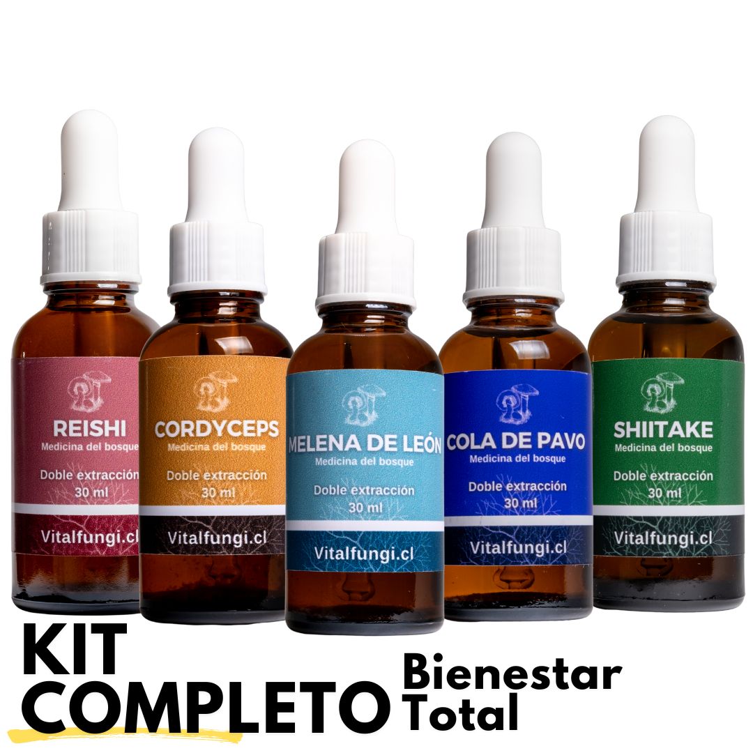 Pack completo 5 extractos de hongos adaptógenos