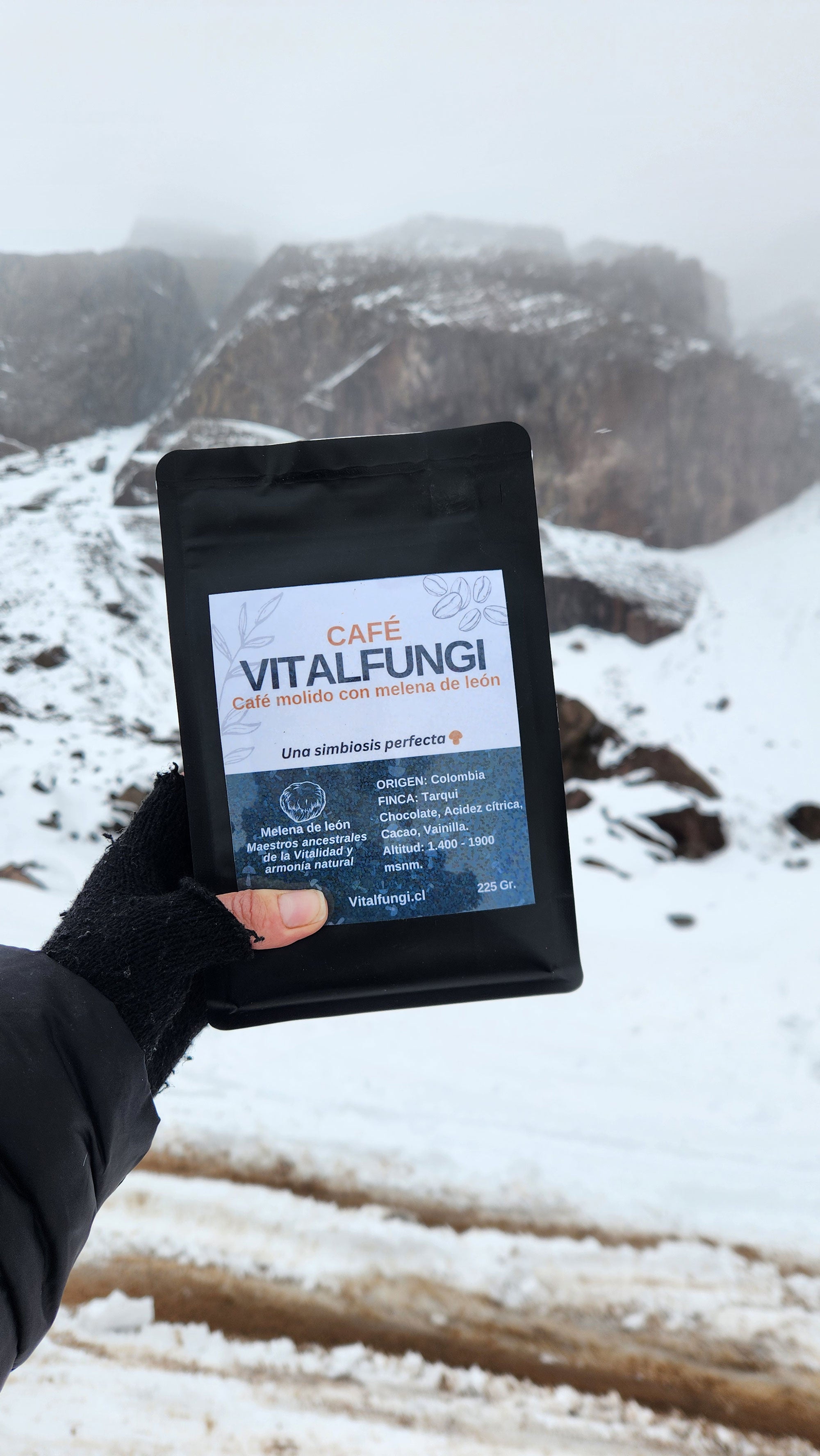 Café de grano con hongo Melena de león