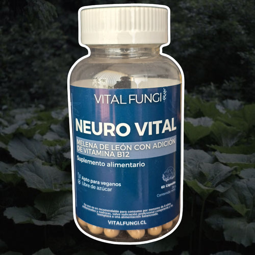 NEUROVITAL Cápsulas Melena de león y Vitamina B12