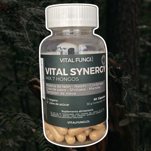 VITAL SYNERGY Cápsulas mix 7 hongos