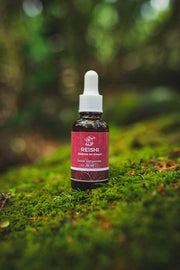 Extracto hongo Reishi 30 ml