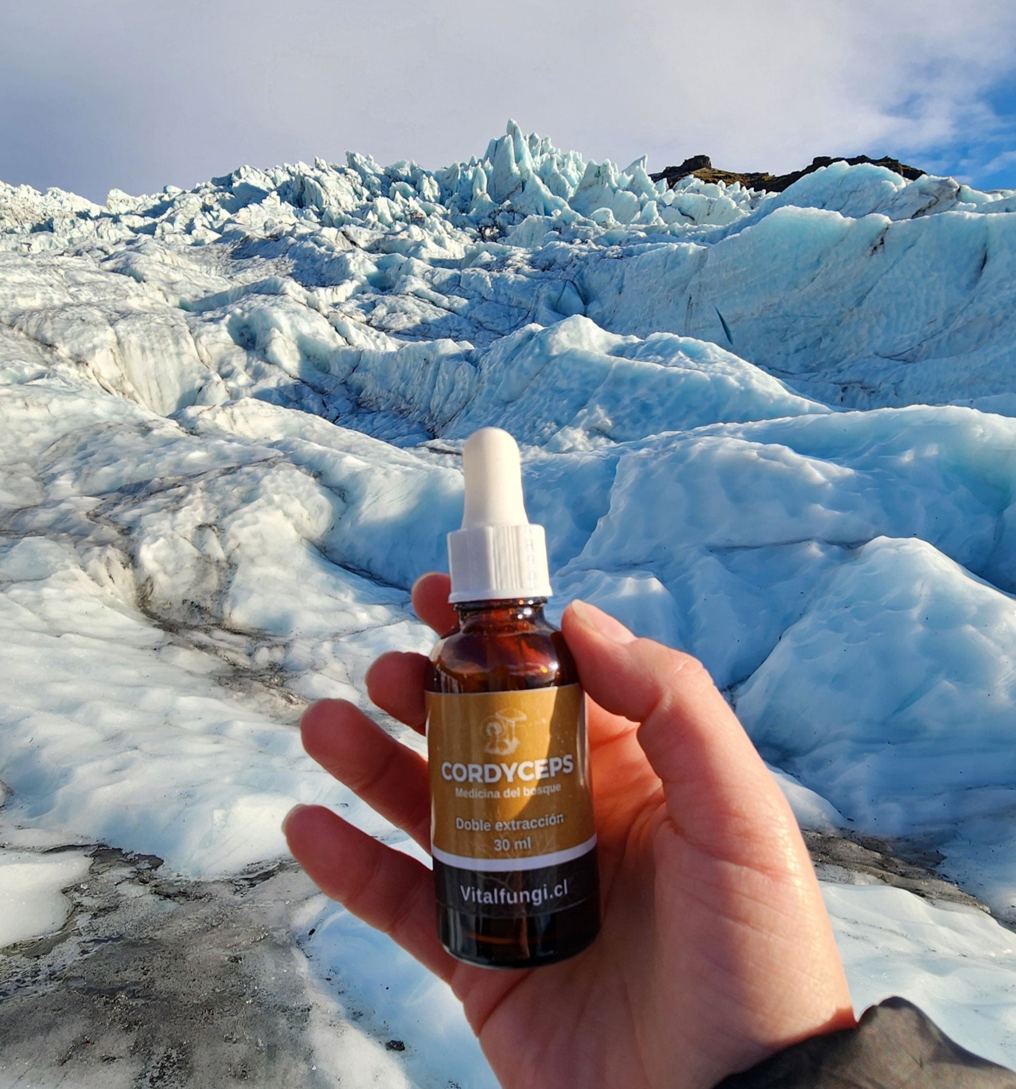 Extracto hongo Cordyceps 30 ml