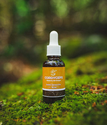 Extracto hongo Cordyceps 30 ml