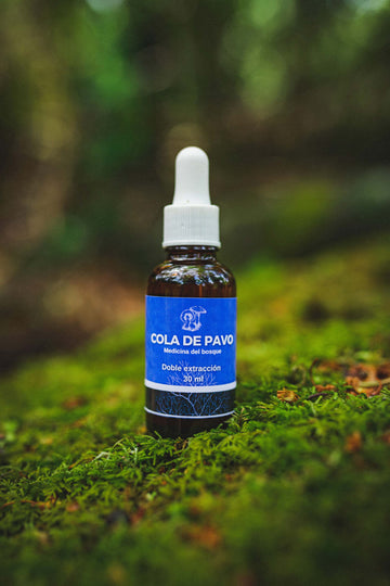 Extracto hongo Cola de pavo 30 ml