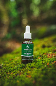 Extracto hongo Shiitake 30 ml