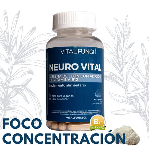 NEUROVITAL Cápsulas Melena de león y Vitamina B12