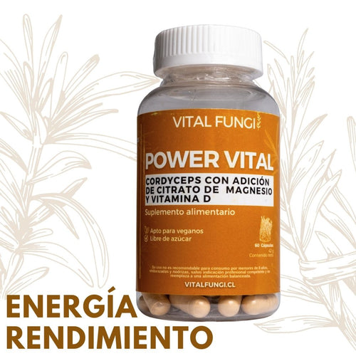 POWERVITAL Cápsulas Cordyceps, Citrato de magnesio y Vitamina D