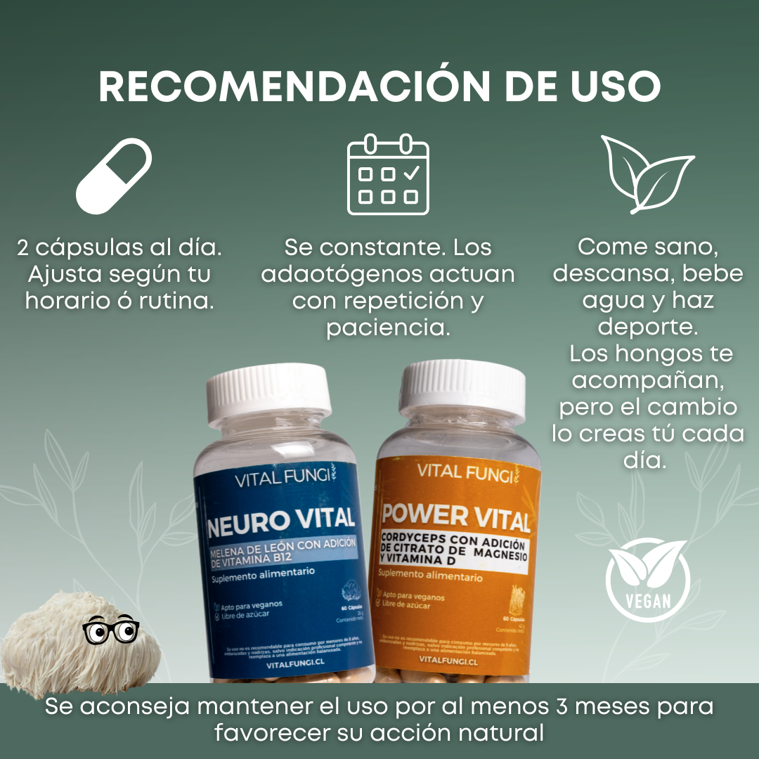 NEUROVITAL Cápsulas Melena de león y Vitamina B12