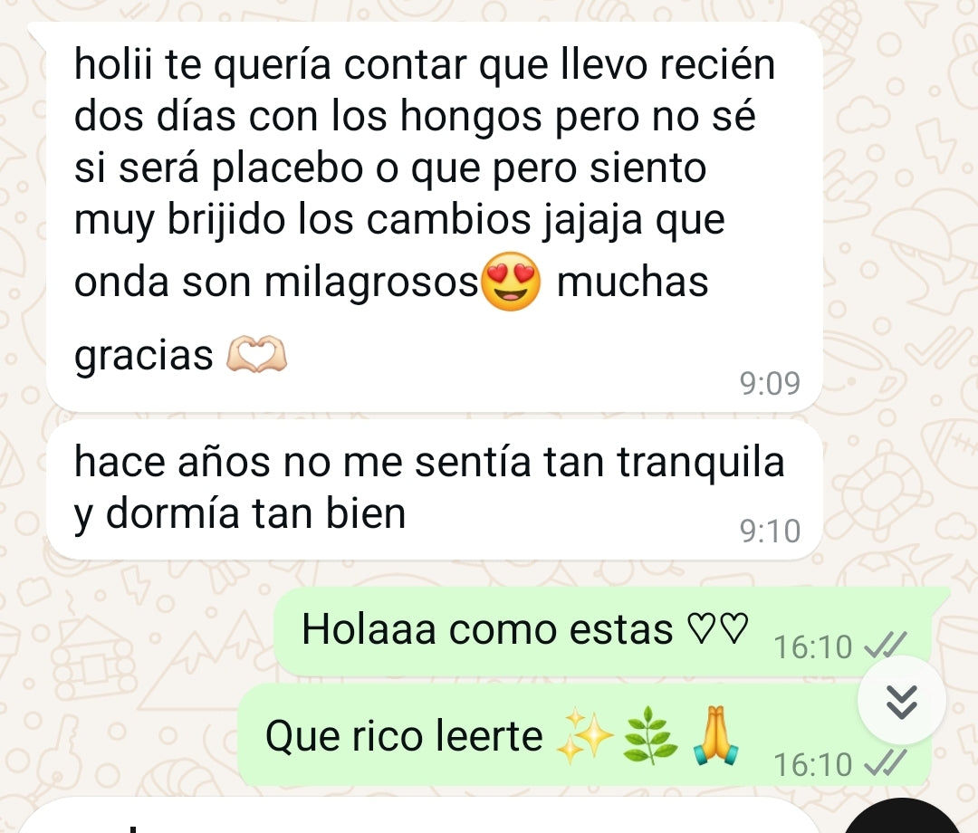 Extracto hongo Reishi 30 ml