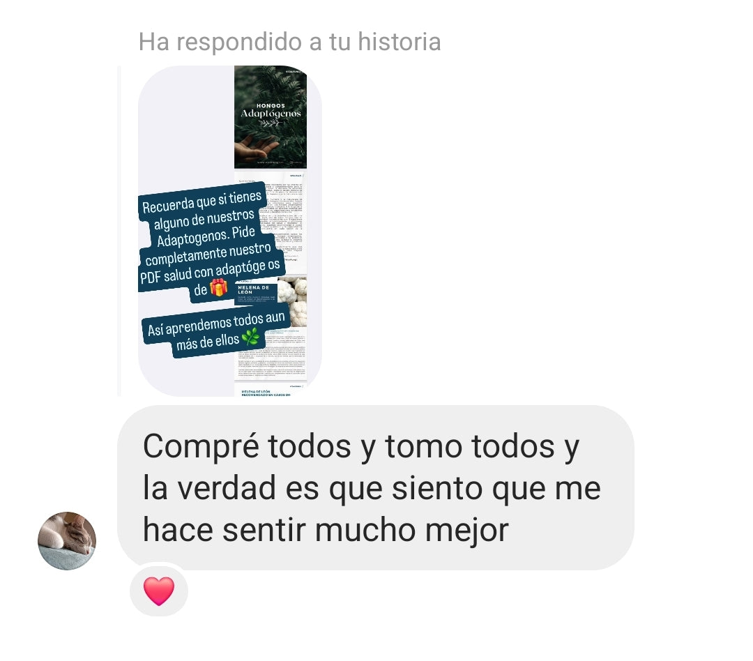 Extracto hongo Reishi 30 ml