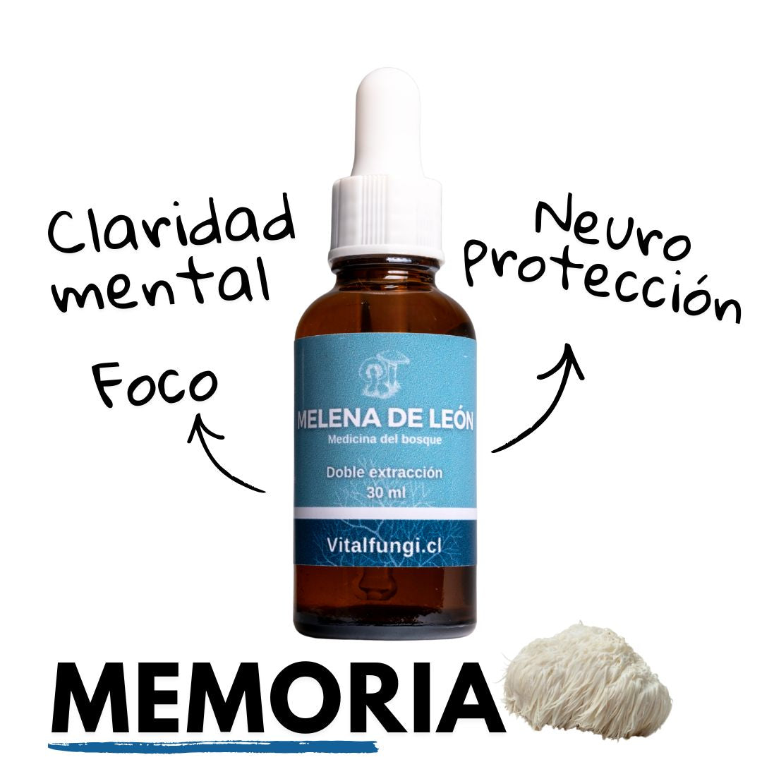 Extracto hongo Melena de león 30 ml