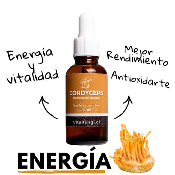 Extracto hongo Cordyceps 30 ml