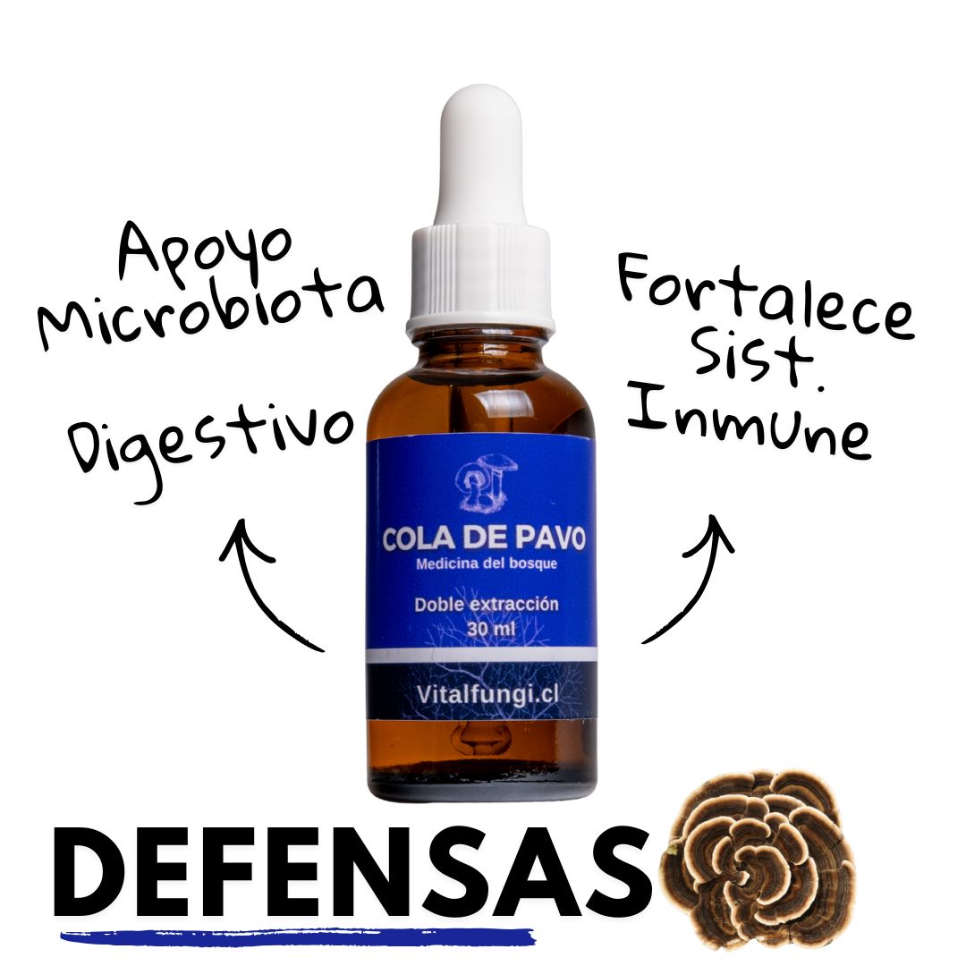 Extracto hongo Cola de pavo 30 ml