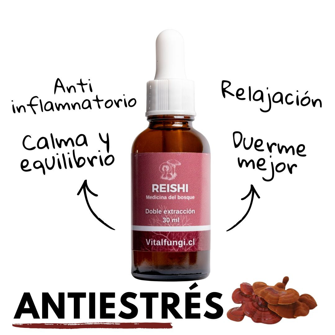 Extracto hongo Reishi 30 ml
